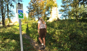 Wanderin am Donausteig